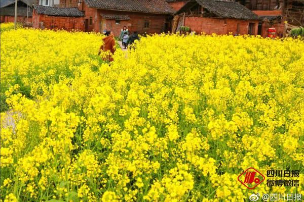 深圳助孕男孩子,1武汉试管婴儿费用多少