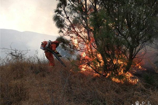  难“聚”的网约车