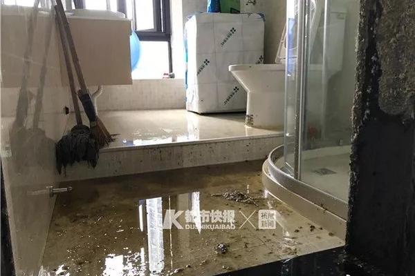 三八沟华丽转身变生态公园