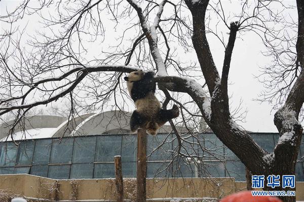 香橙果穗之老公对不起
