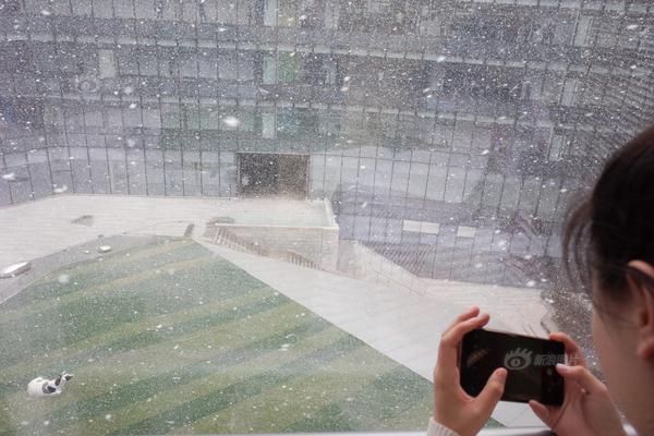 肠粉怎么炒才好吃