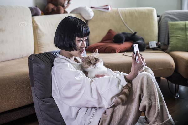 2025澳门正版免费资本,全面释义、解释与落实
