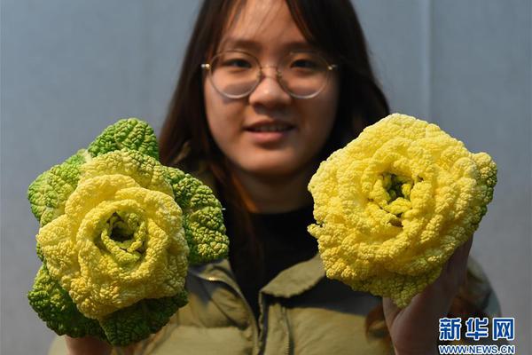 荷花叶有什么功效和作用