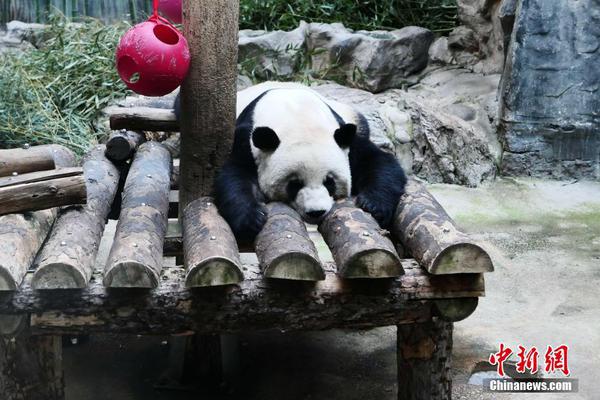 武磊留洋攻入首粒进球