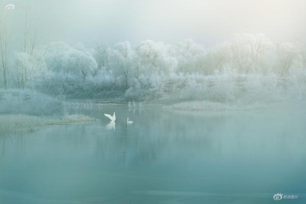 武汉助孕试管流程,卵巢功能早衰怎么治