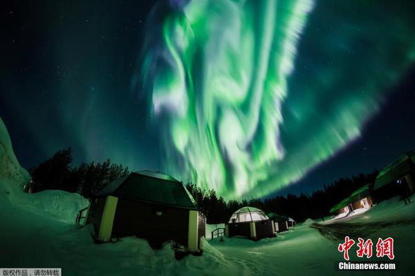 成熟了的西梅是什么颜色的