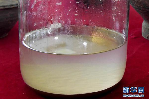 綠茵場上的財富密碼：揭開「賽馬內幕貼士」背後的暴利真相與贏家邏輯 