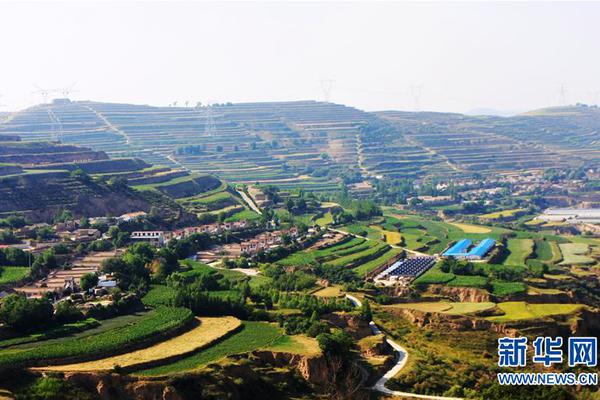 吃出芽的花生有什么好处