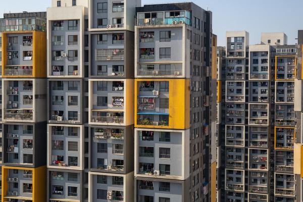 2025年正版资料全年免费,详细解答、解释与落实