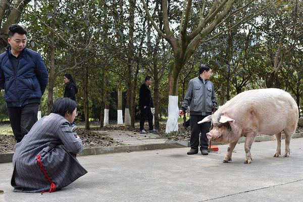 央妈“排查”结果：我国可以一次性拿出50万元的家庭，超乎想象？