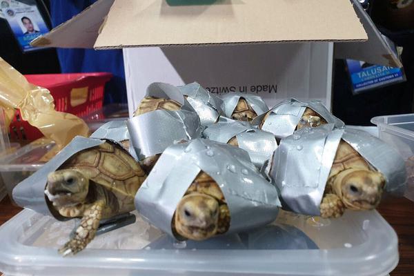 2024 巔峰之戰：全網最具權威的「賭博網站排名」終極指南，助你一賠百的致富之路！ 