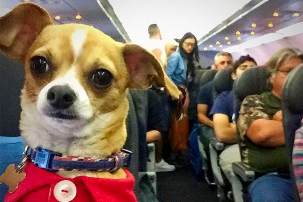 Watching None with Friends: Creating Your Exclusive Viewing Party