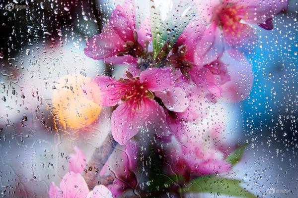 極致娛樂的殿堂：在 Fun88 預見你的驚喜與非凡體驗 