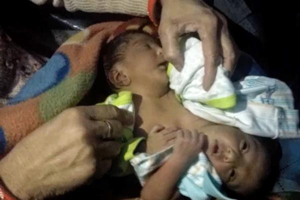 椰肉放冰箱5天还能吃吗