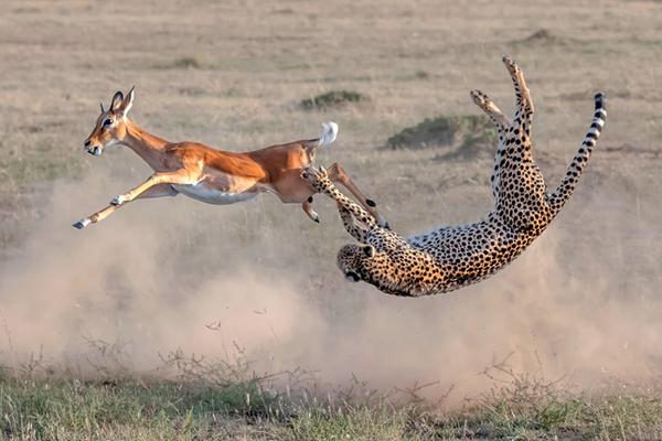 妈妈的味道图片什么梗