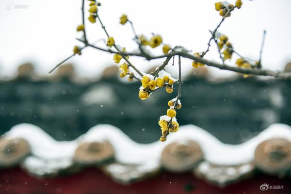 奇葩战斗家国际版下载