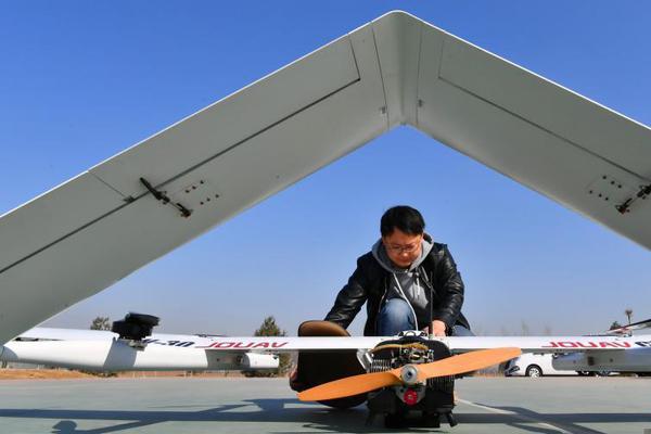 策馬奔騰後的財富密碼：深度解析賽馬結果與派彩的藝術 