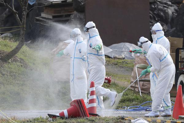 新澳2025精准正版免费警惕虚假宣传-全面释义、解释与落实