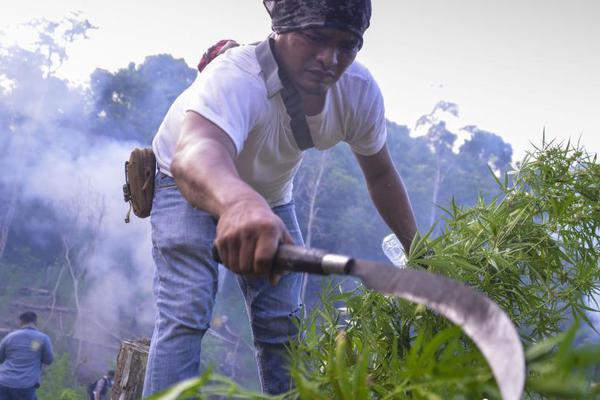 别人的十六岁，居然可以这样……