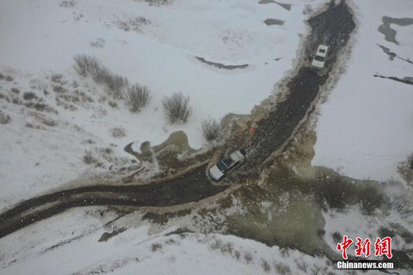 八大关枫叶在哪条路