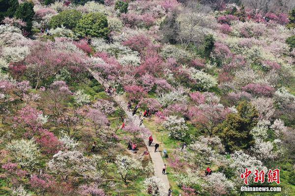 集体露脸领奖!南宁数十人合力擒获大乐透1032万元
