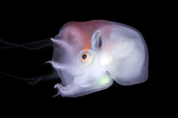 穿越時空的邀請函：2025大阪世博，一場通往未來的盛大預演 