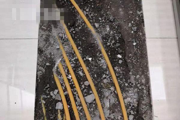 宿州埇桥区政协书画院走基层送春联送祝福
