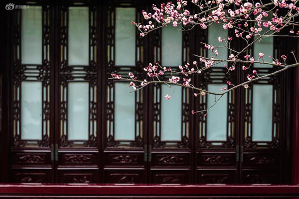 舞剧《李清照》拉开第23届上海国际艺术节序幕