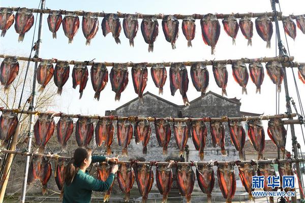 73歲兒子獵捕候鳥被抓 100歲老父親：鳥吃糧食