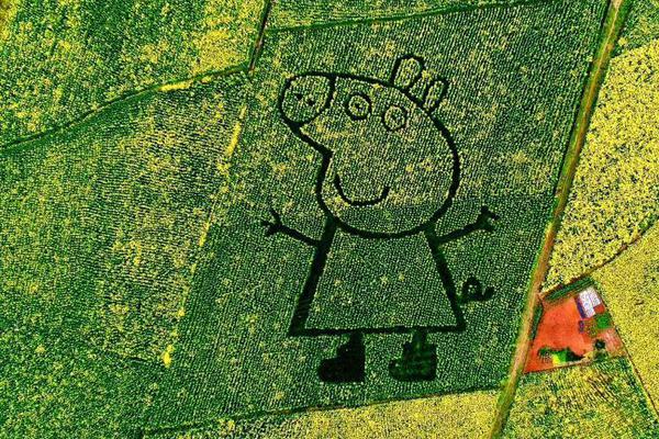  心灵鸡汤感情文章以《我》为题的散文2024/3/16豪情经历100字