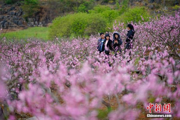 上海合法代孕多少钱2023上海试管助孕供精生子费用大概是多少不同医院差异化较大