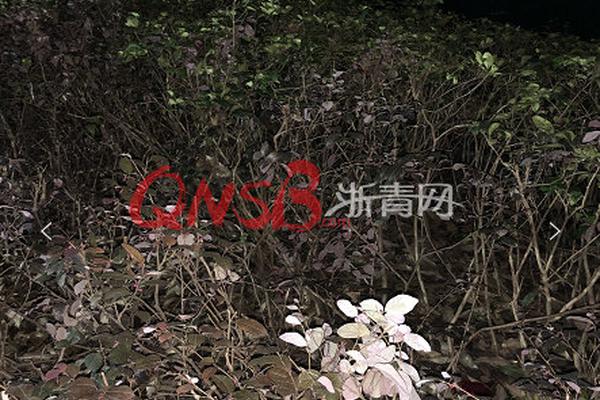 知名作家魏振强携《村庄令》近日与读者见面