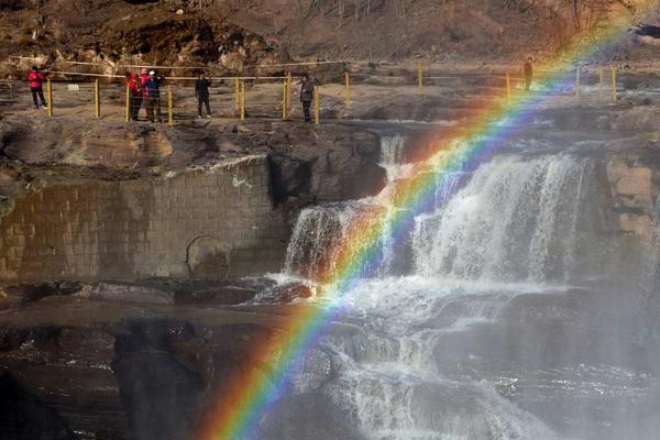 柿子可以在太陽(yáng)底下曬嗎 