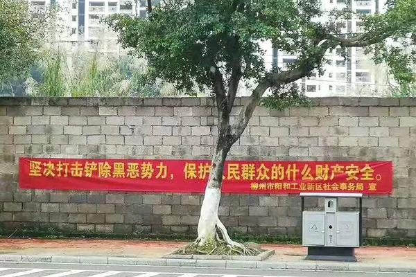 中国援柬体育场项目整体完成进度约四成