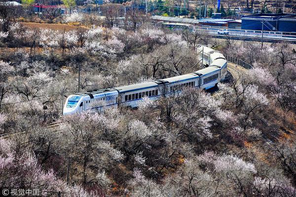 暑期文旅消费活动将超4000项