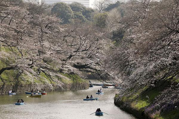 内蒙古体育局亮相2019斯迈夫国际体育消费展览会