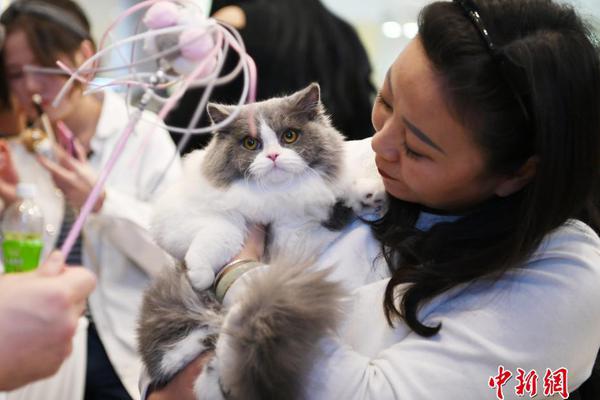 Revisão histórica: Momentos clássicos que assistimos None juntos