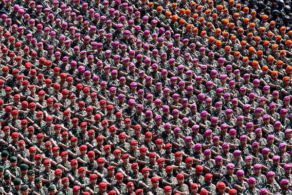  乔贝贝加盟新一部《侏罗纪世界》 有望合作寡姐！