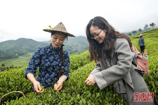 师父的紫黑蘑菇美食之旅