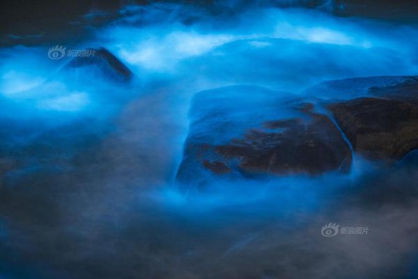 球迷必看！电竞比赛 设备：提升观赛乐趣的五大秘诀