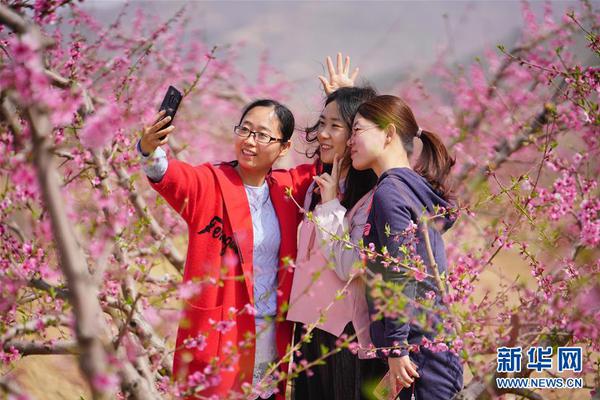 希崎医院探望在线，深度解析与免费观看