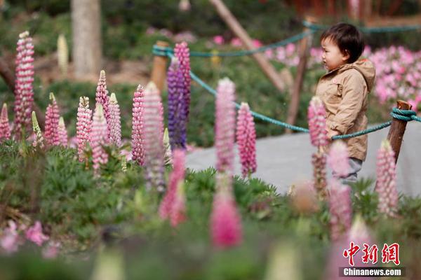 武汉助孕联系电话,孕妇吃鱼的注意事项