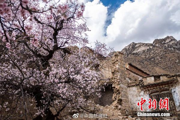 湮妖虫蚀凌触岛退魔录，动漫之旅