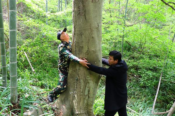 为孩子辞职在家 丈夫却另结新欢