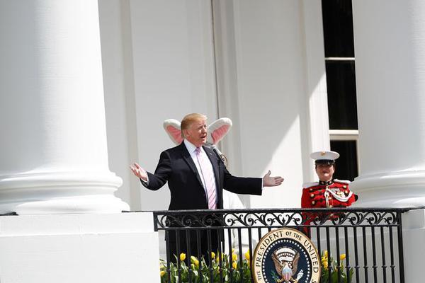 奥特曼头像什么梗