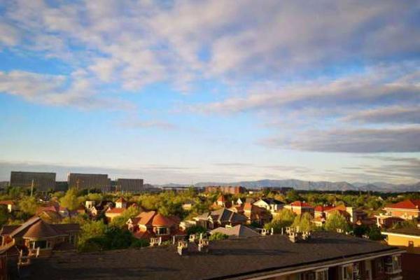 勇敢猪猪不怕困难是什么梗