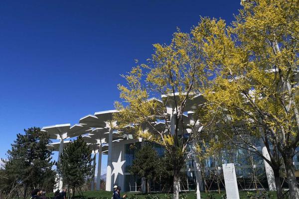  [Глубокий анализ] None: Как насладиться полным погружением в просмотр дома?