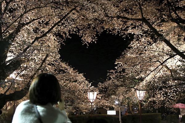 野花社区日本免费图片
