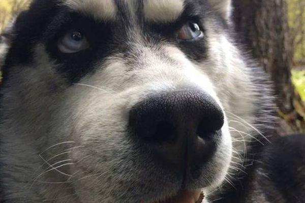 解密「世百家樂必勝公式圖解」：從賭徒轉變為贏家的終極藍圖 