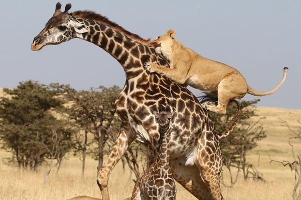 巴萨2012阵容-乐鱼APP下载-乐鱼体育app-乐鱼体育官网网站|乐鱼体育